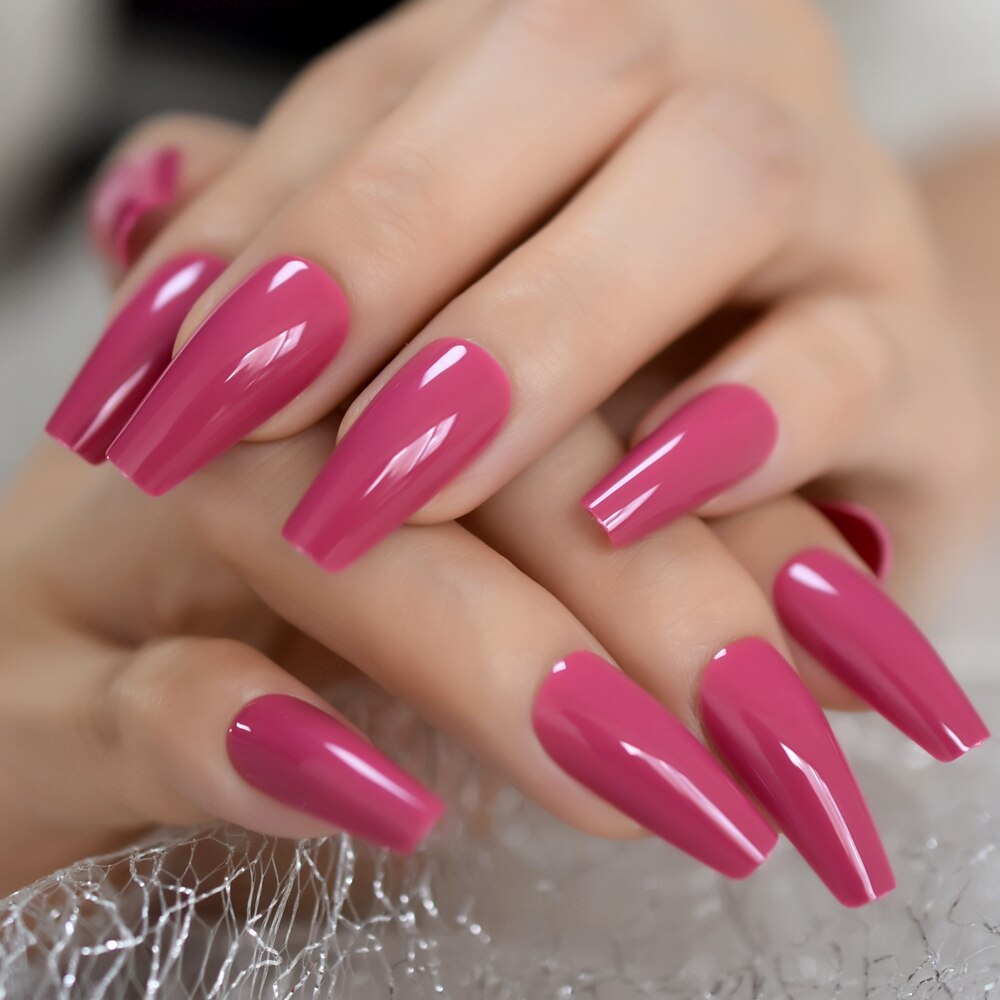 Scratch & Claw