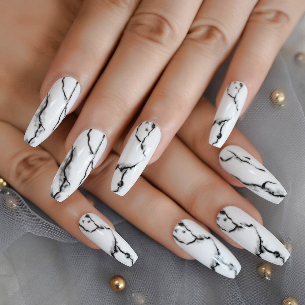 Scratch & Claw