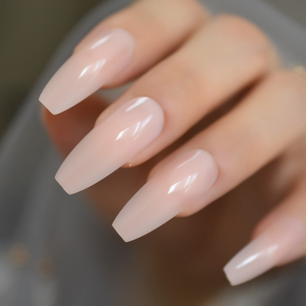 Scratch & Claw