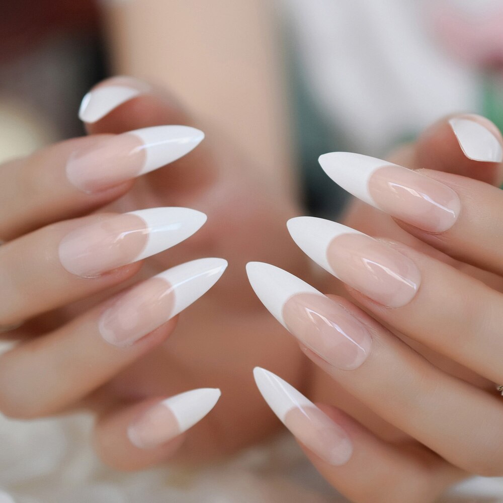 Scratch & Claw