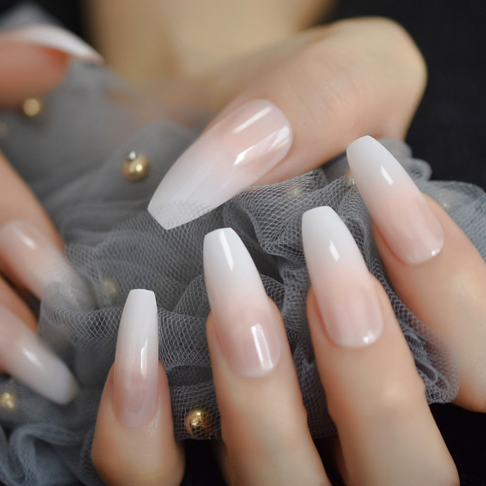 Scratch & Claw