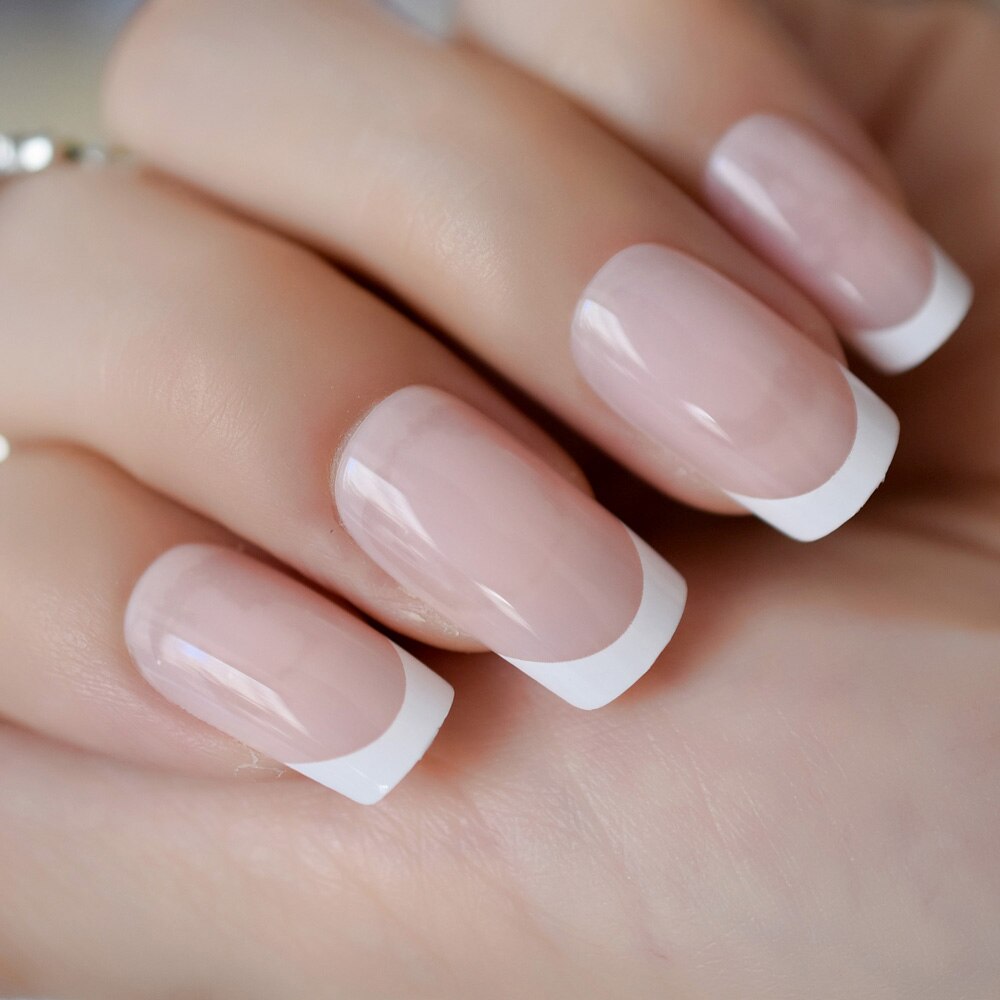 Scratch & Claw