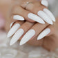 Scratch & Claw